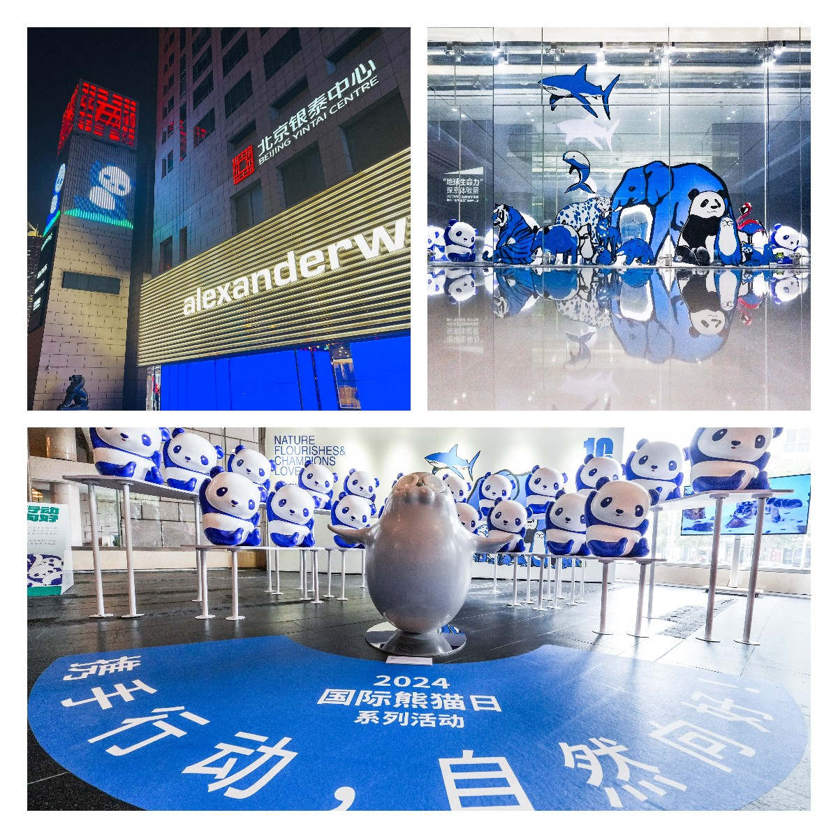 稿定設(shè)計(jì)導(dǎo)出-20241018-195306_副本.jpg